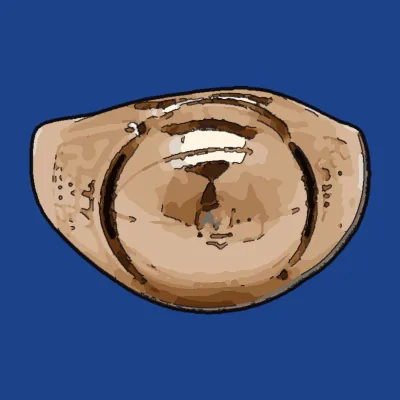 Drawing of the Philadelphia Warriors championship ring, 1955-56
