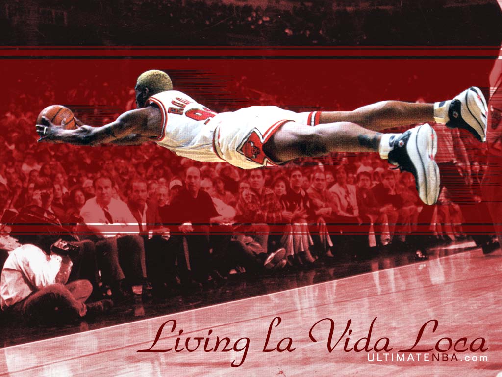 Wallpaper: Dennis Rodman